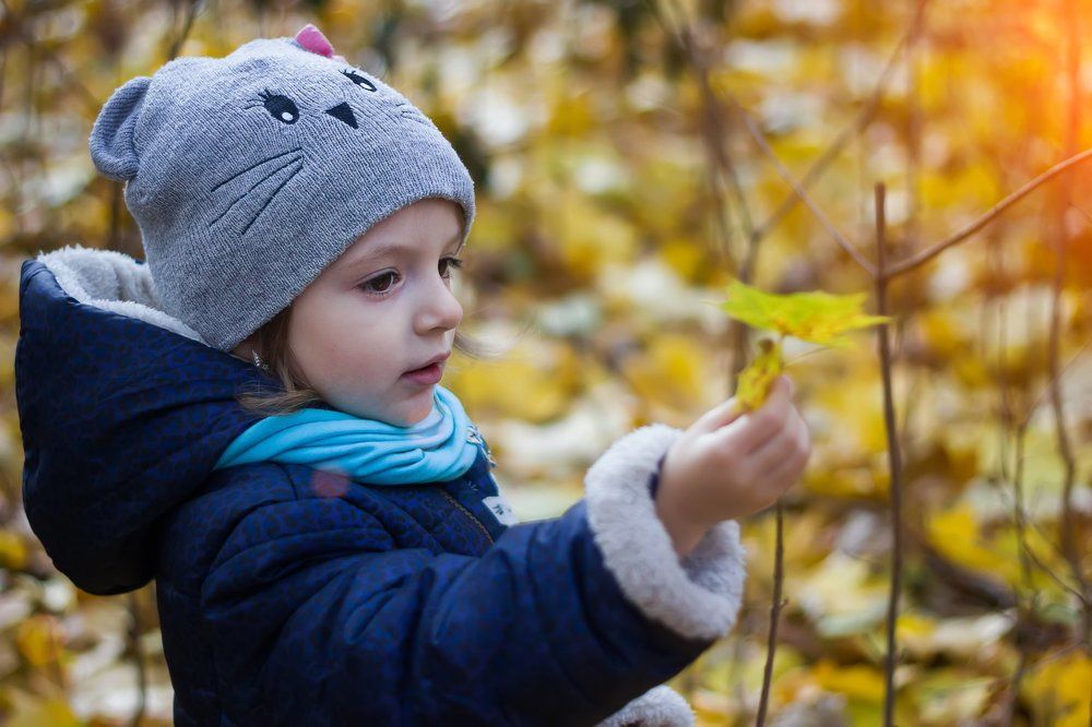 "Последний лист трепещет на ветру  В своём загадочном осеннем танце" А. Сорока