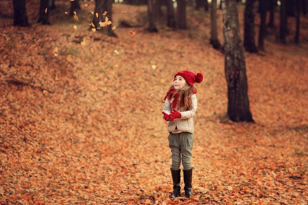 Осенняя прогулка