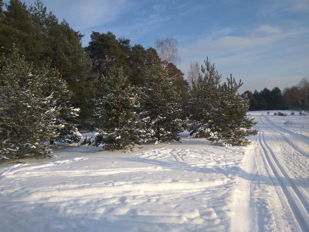 Дорогу осилит идущий