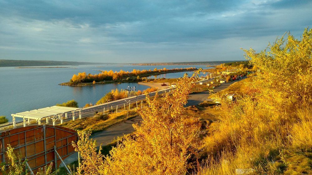 Листья жёлтые над городом....