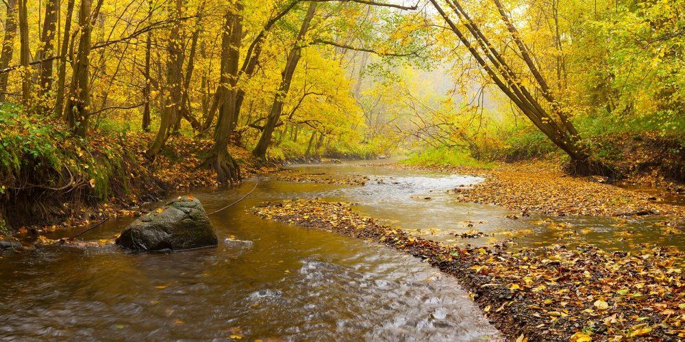 Photograph by Игорь Ткачев