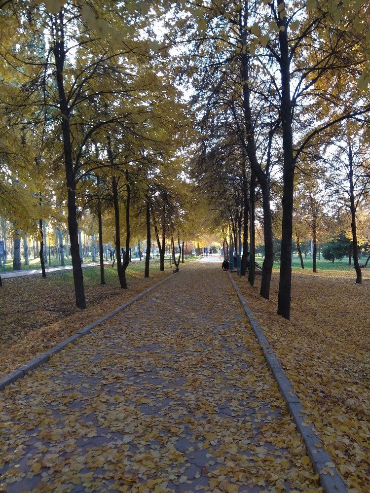 Золотая осень