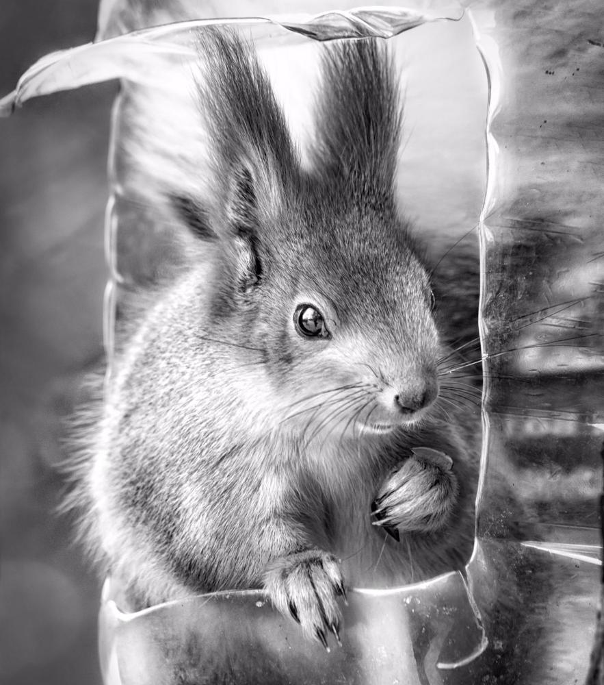 Photograph by Елена Черненко