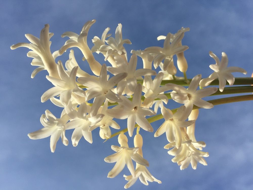 Вдохновение