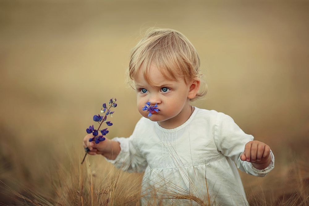 Серьезный васильковый взгляд