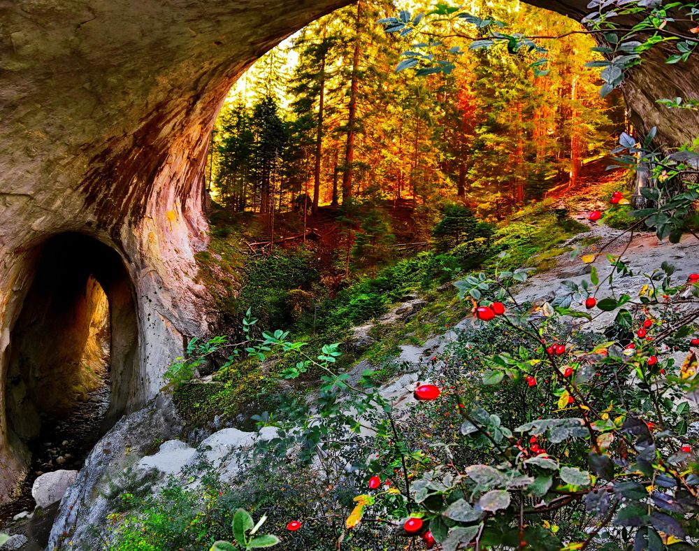 Волшебные мосты