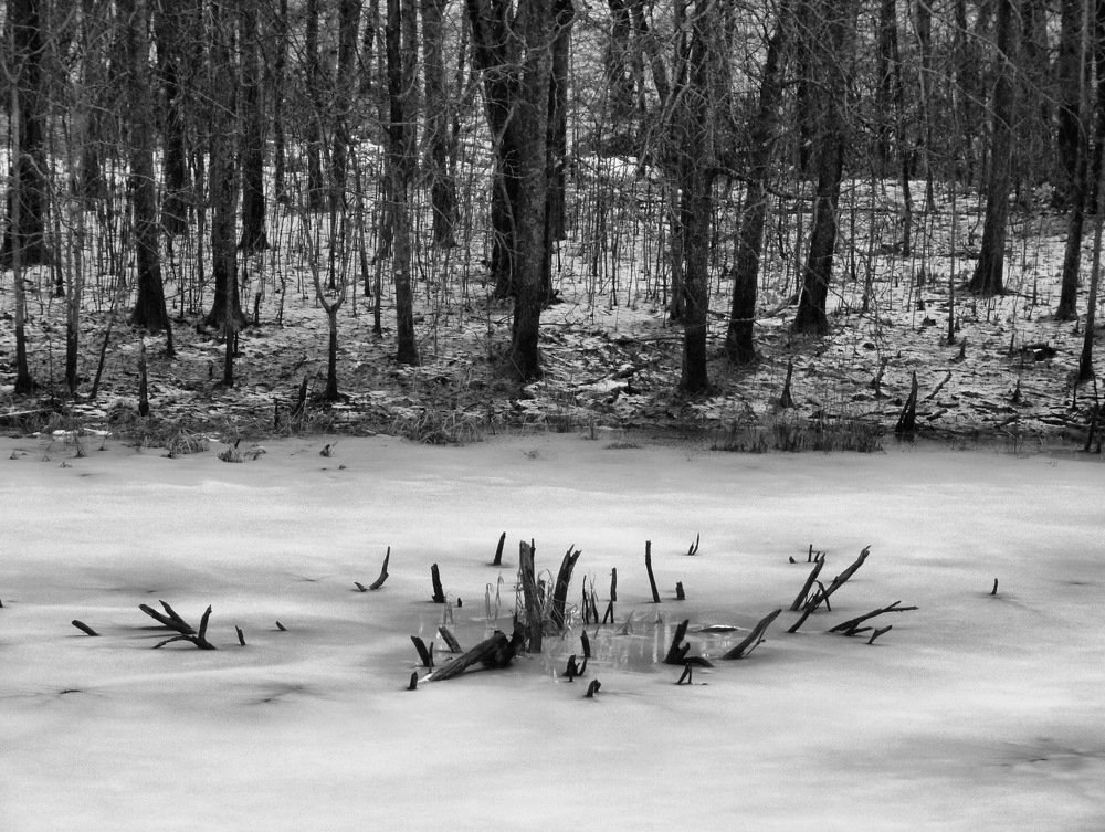 Черное и белое