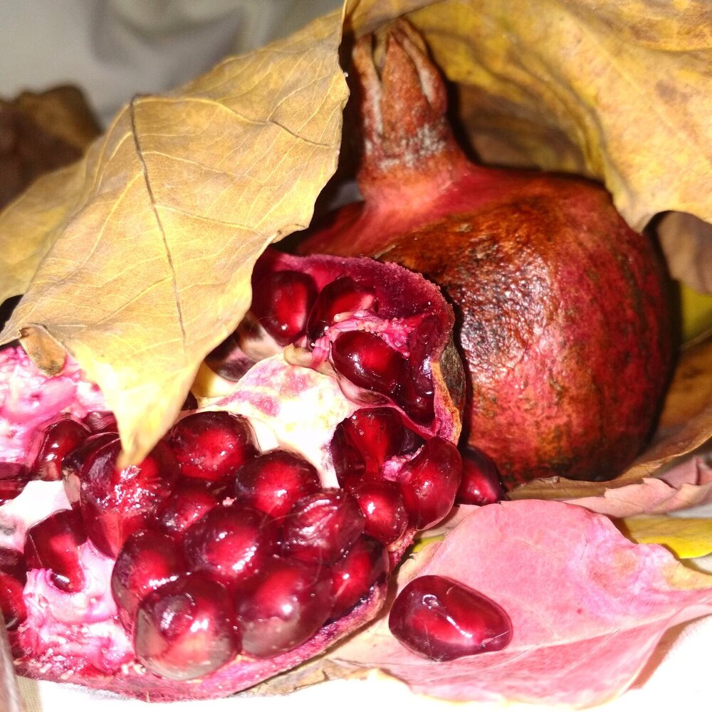 Вкусы осени.