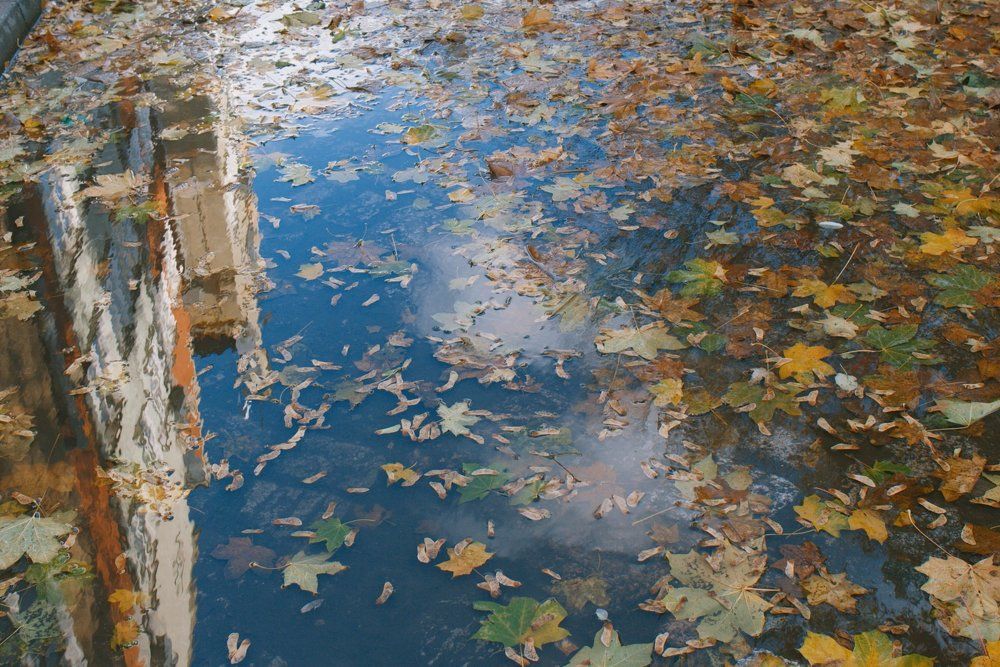 Зеркало осени