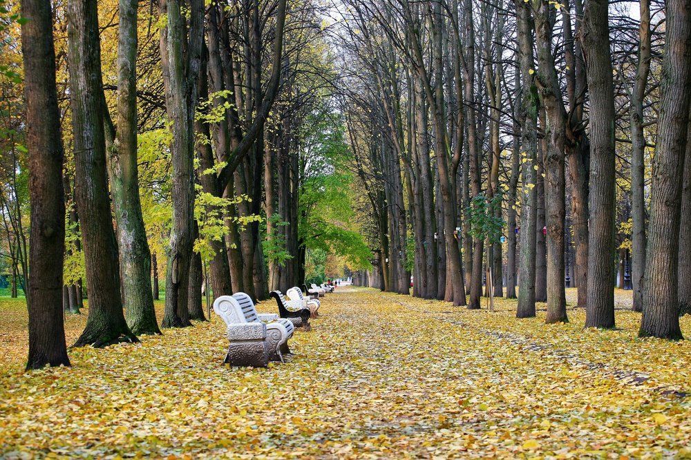 Парк "Дива остров "