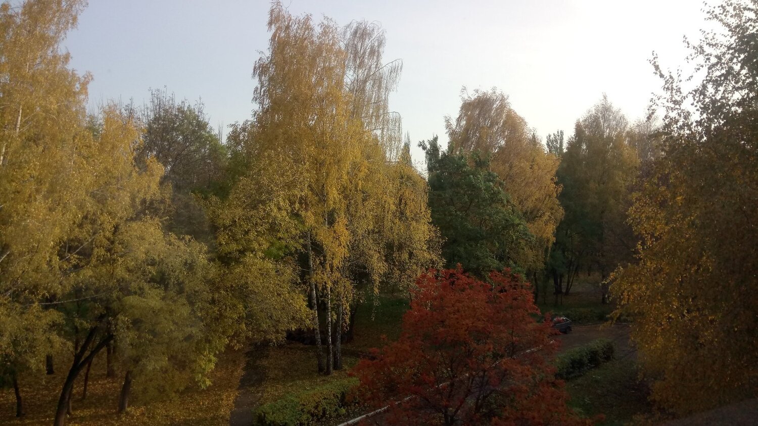 Золотая осень