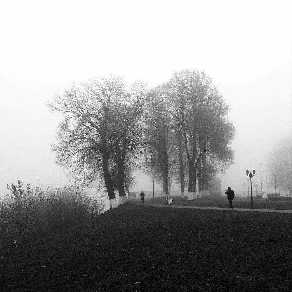 В густом тумане