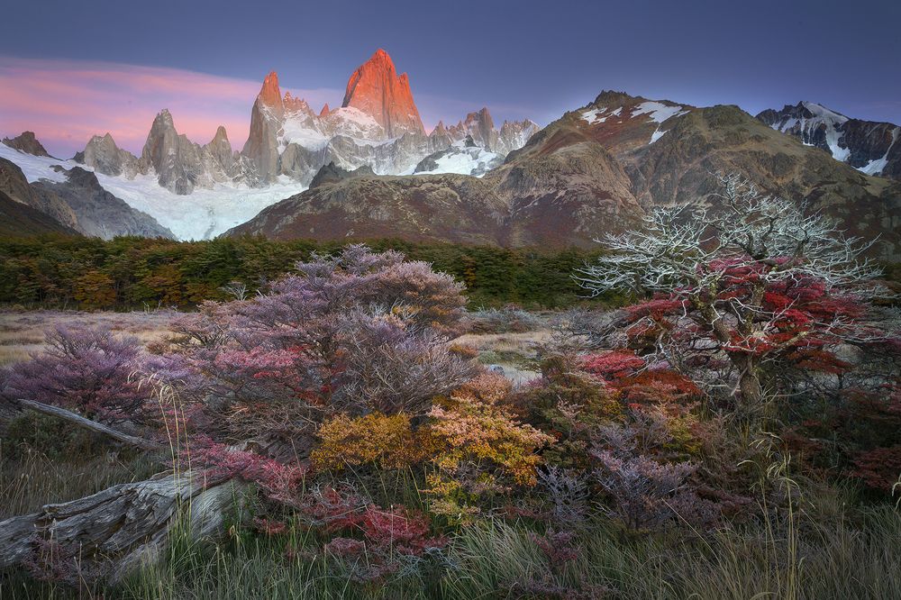 Палитра Патагонии