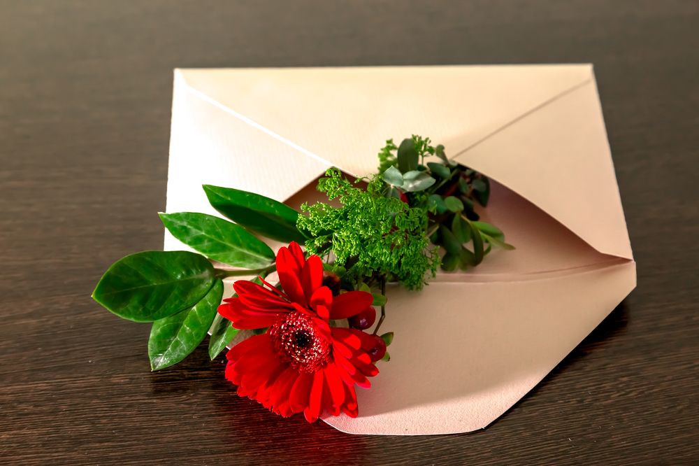 Photograph by Мостовой Александр