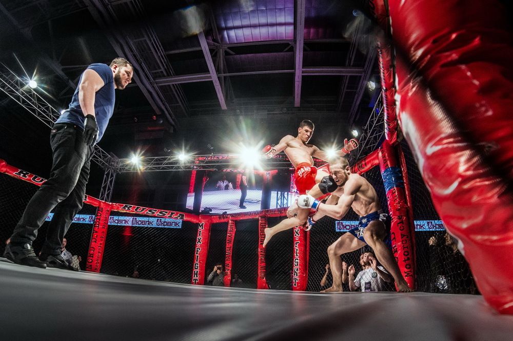 Бои без правил