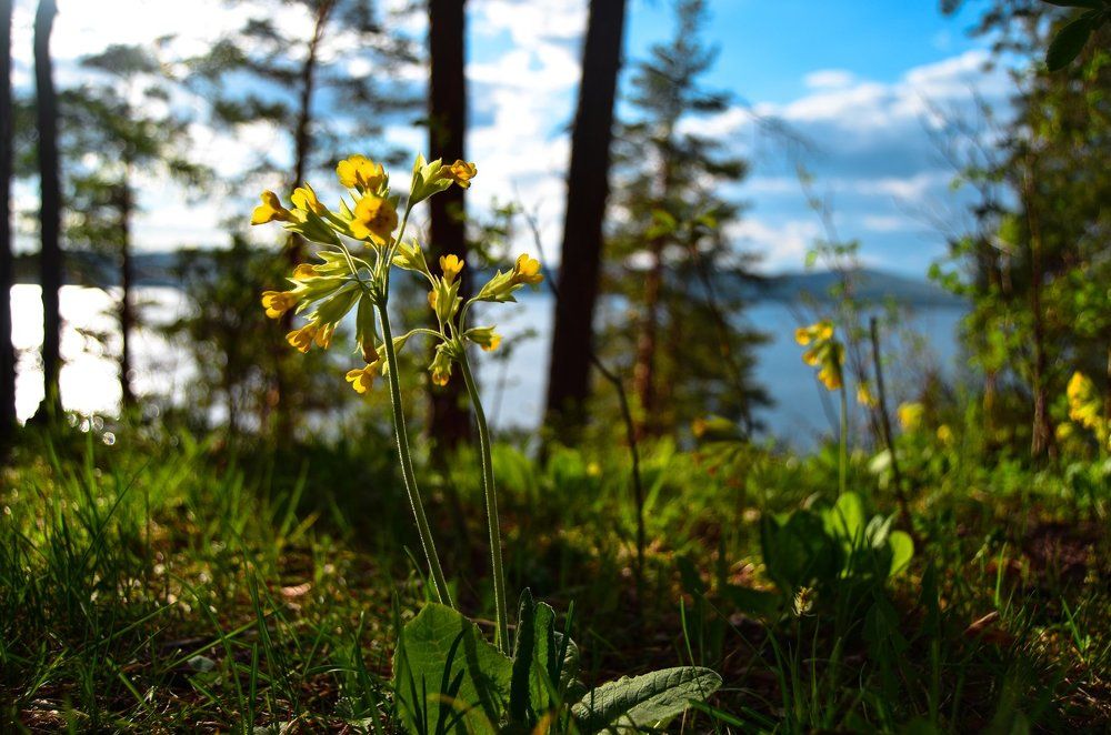 Photograph by Александр Шевкунов