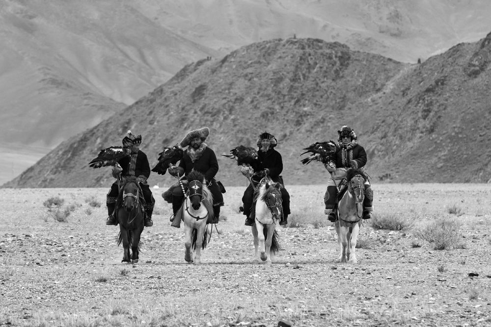 Пока, пока, покачивая перьями...