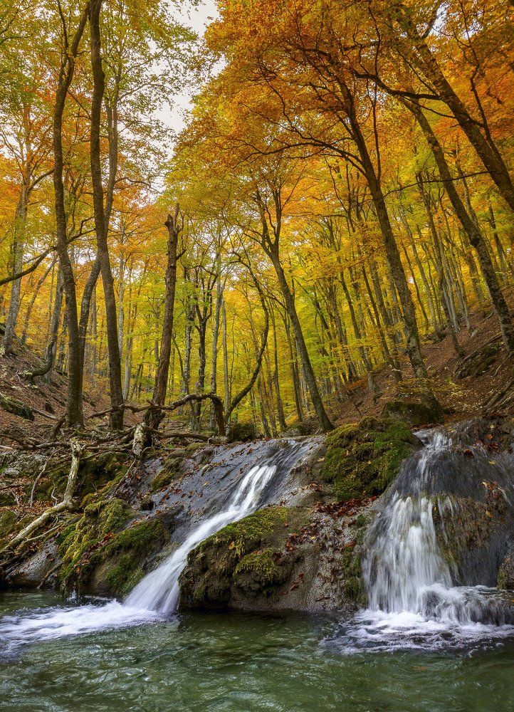 Осенние мечты Крымского леса