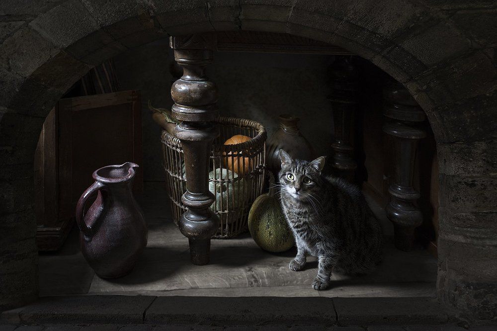 Тихая жизнь