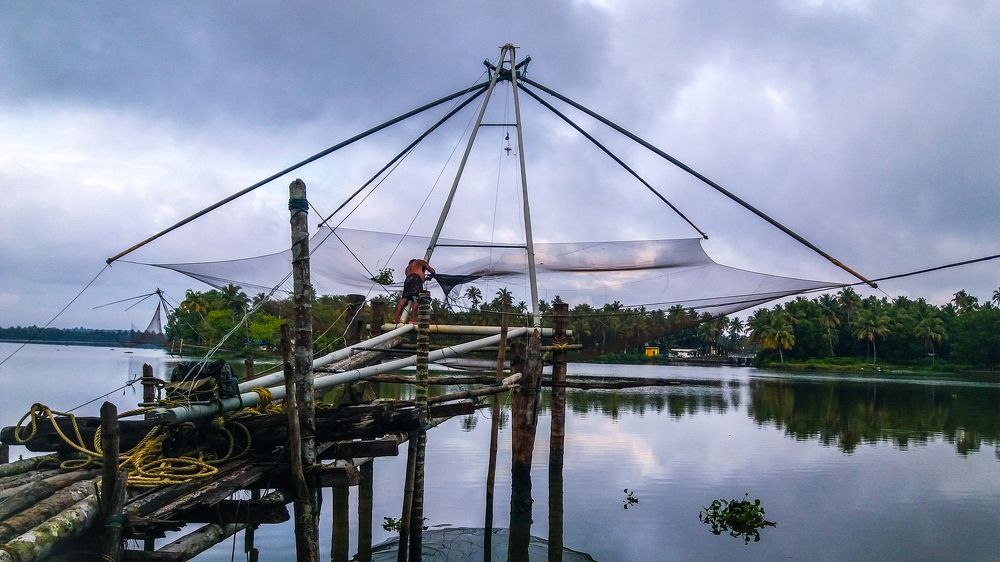 Hardworking Fisherman