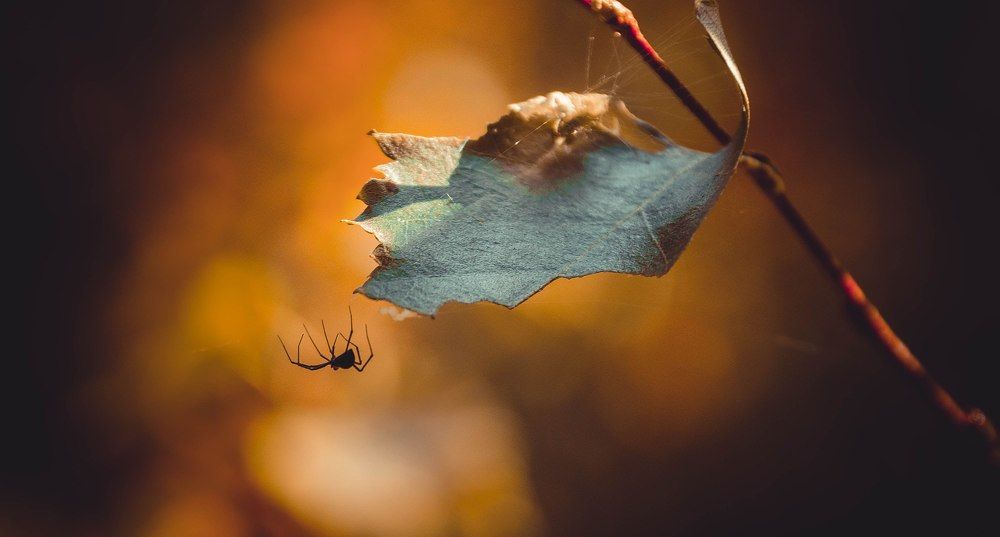 Photograph by Екатерина Ямурзина