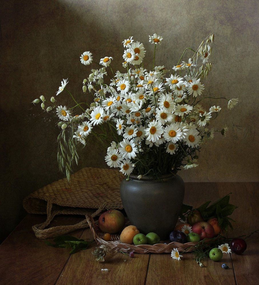 Ромашки белые