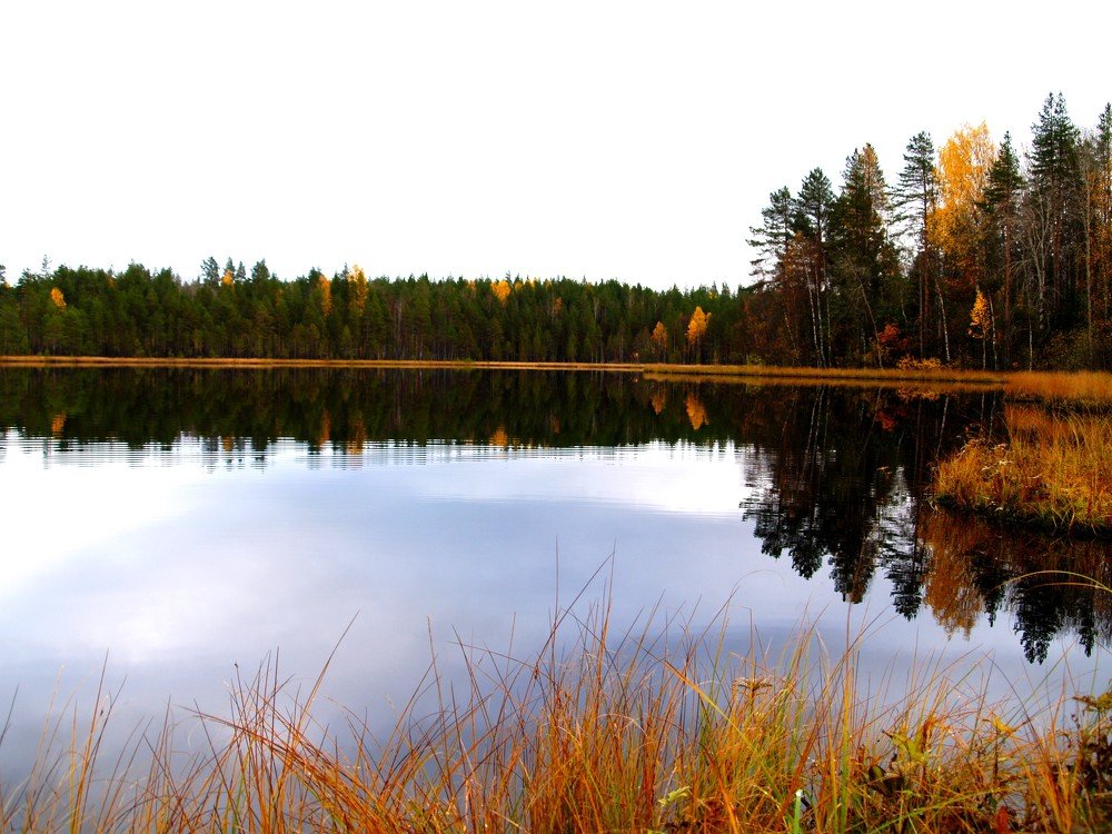 Октябрь и тишина