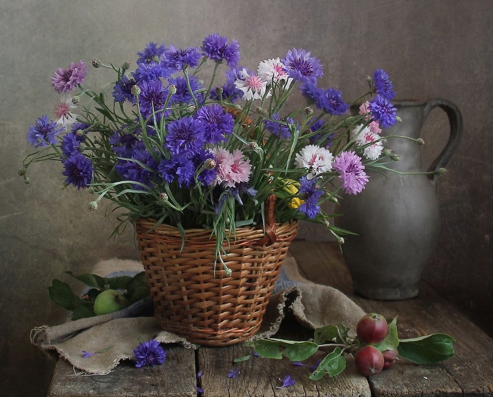 Василёчки, васильки....