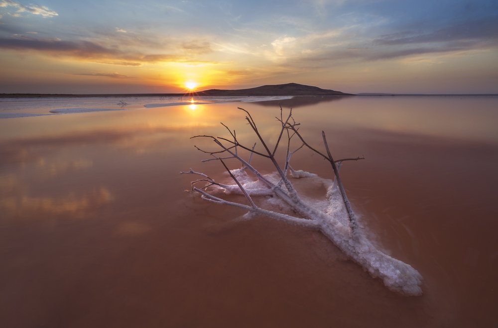 Солевые берега летней степи