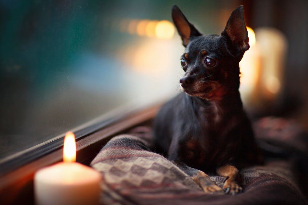 Photograph by Горбатушкова Мария