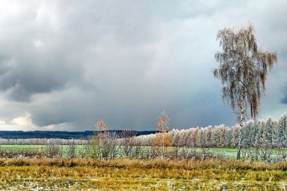 Припорошило