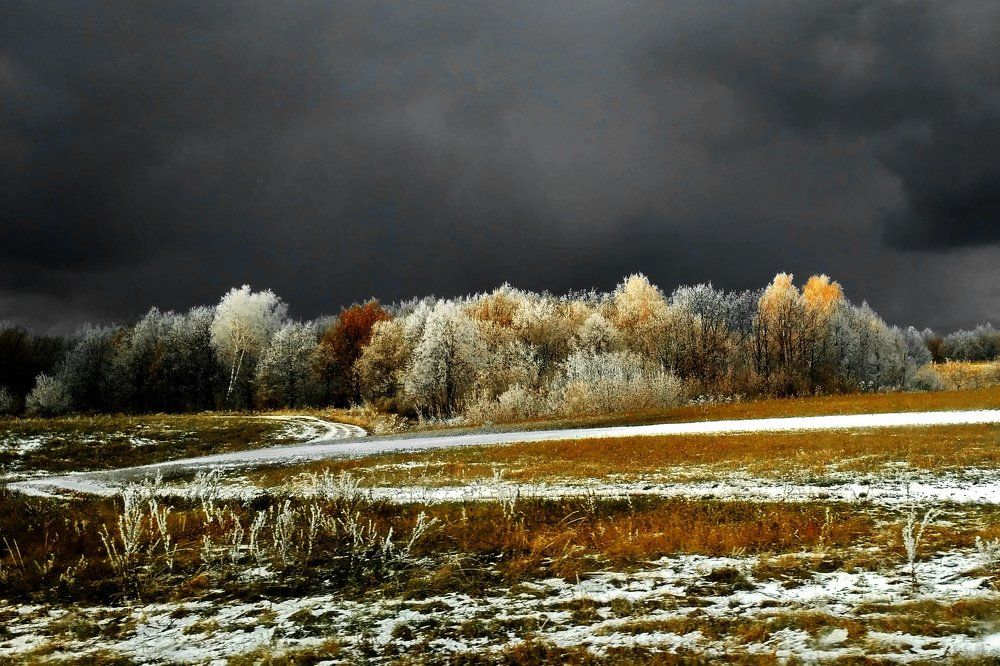 Перед бурей