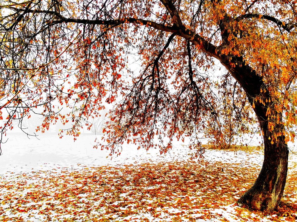 Фотография автора Эльмира Фатихова