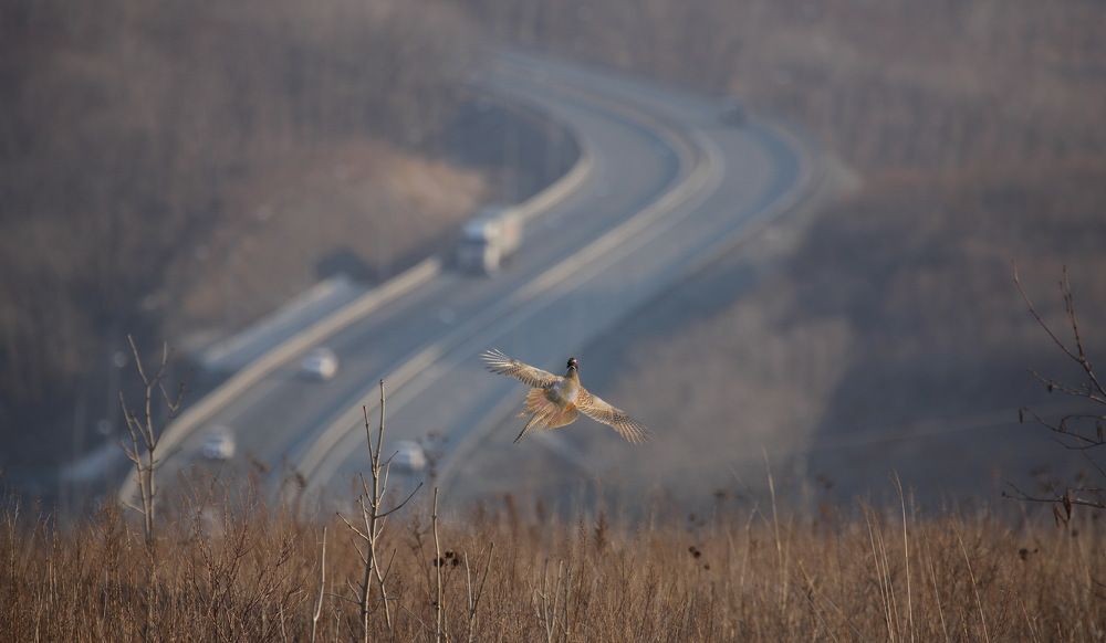 отрабатываем повороты