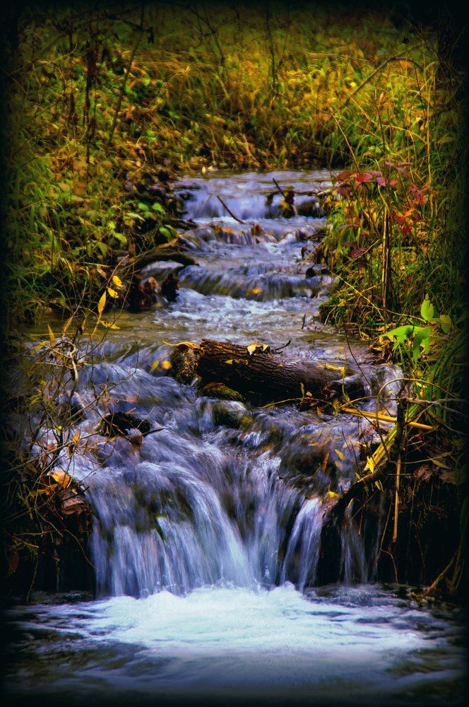 Осенний ручей