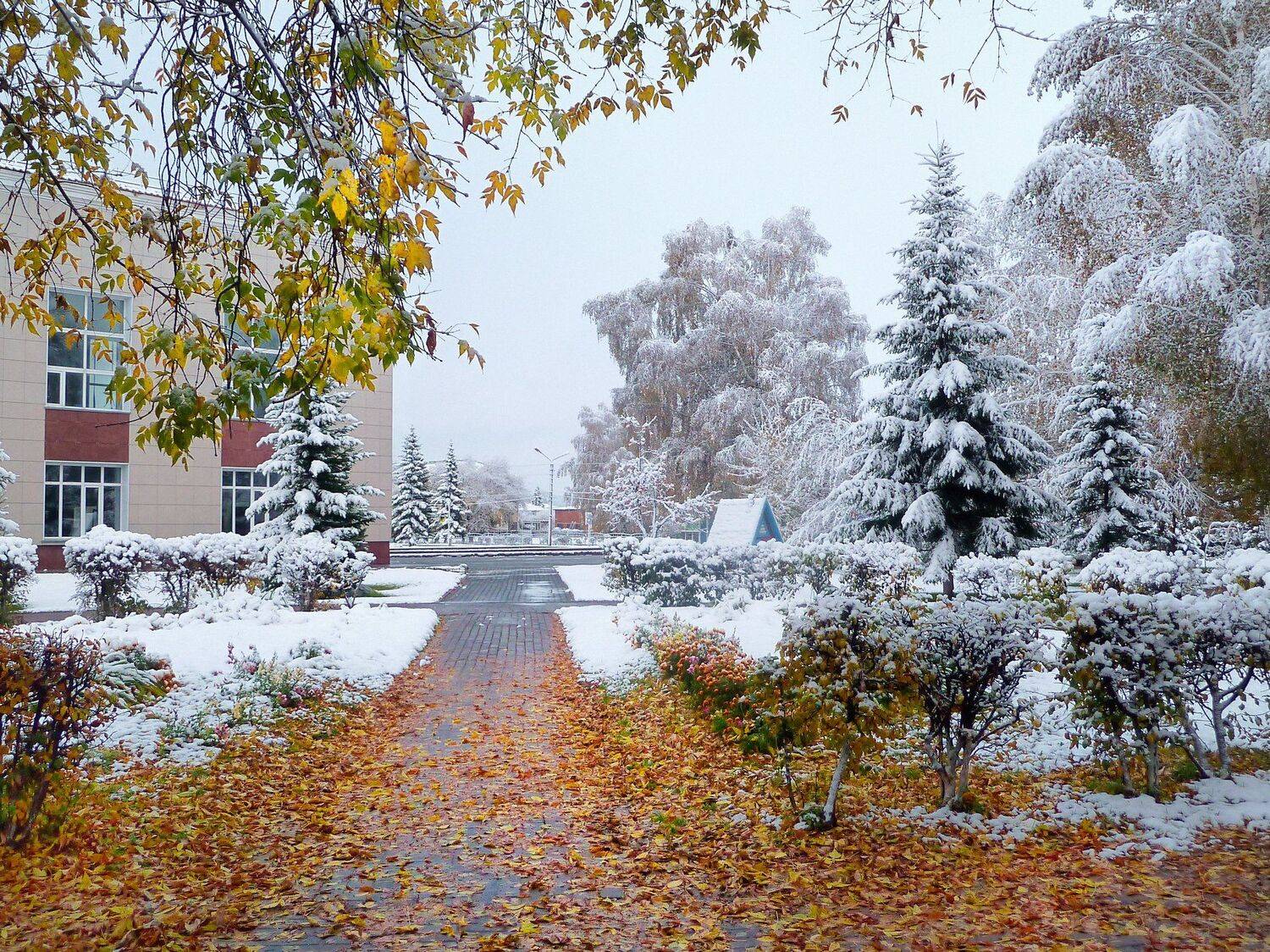 Вот осень и зима сошлись в осеннем вальсе...