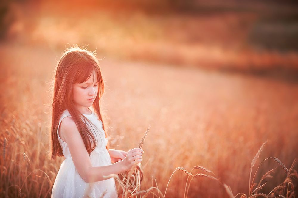 Пшеничное поле