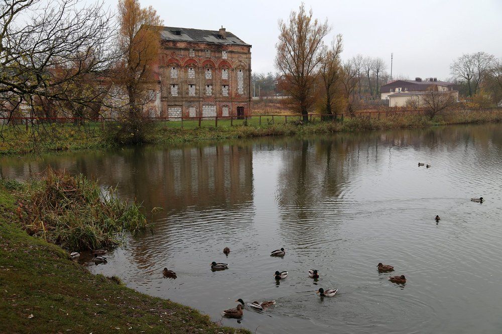 "Старый пруд"