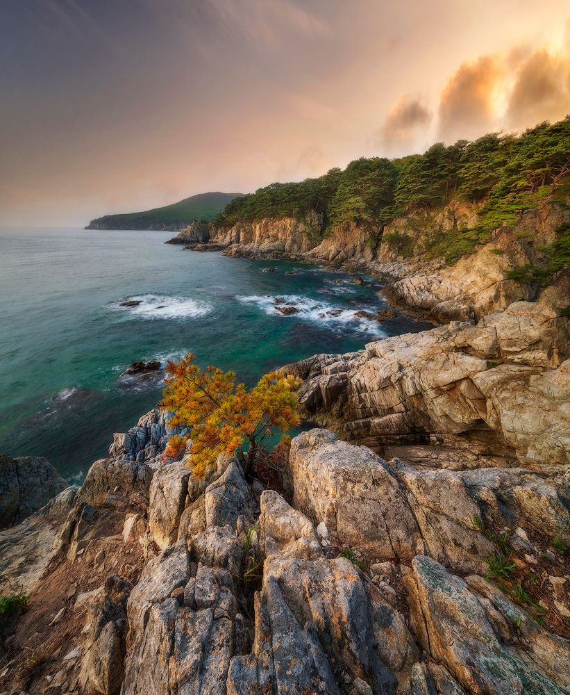 Цепляясь за жизнь.