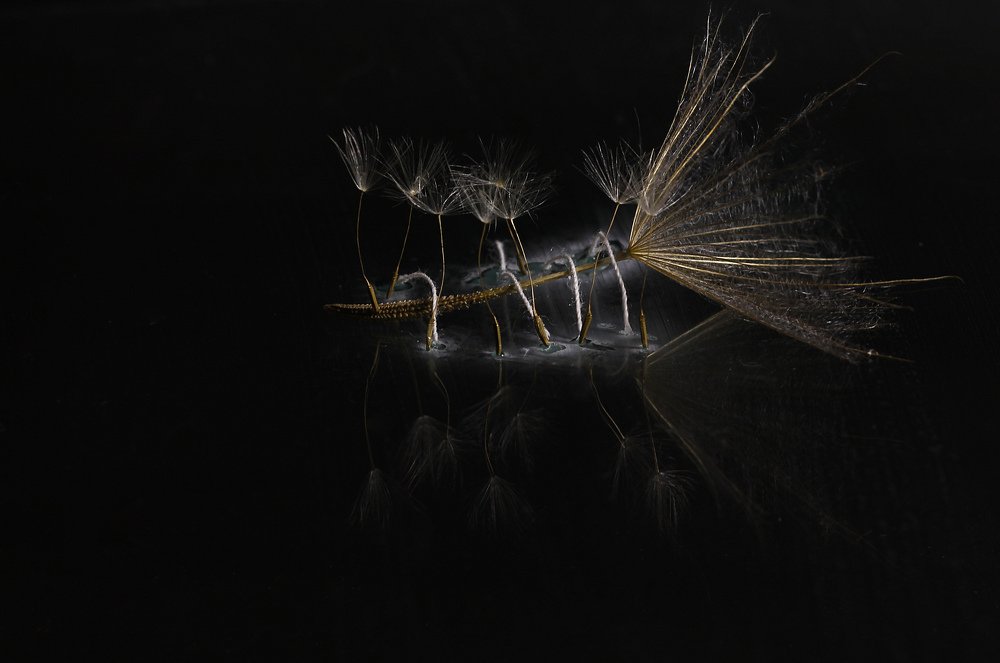 Гулливер и лилипуты