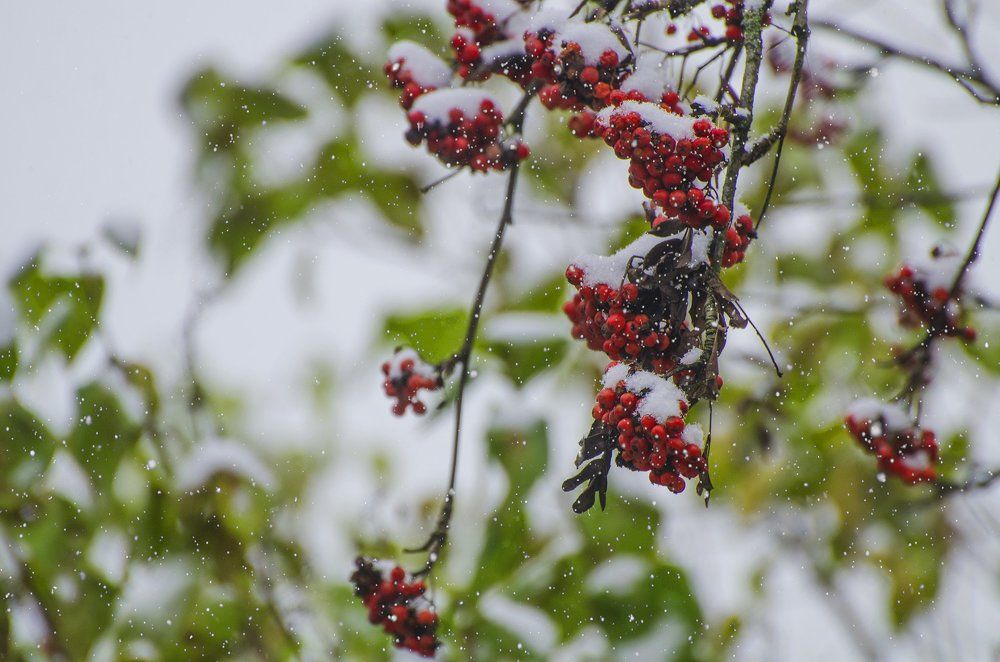 Photograph by Ekaterina Fadeeva