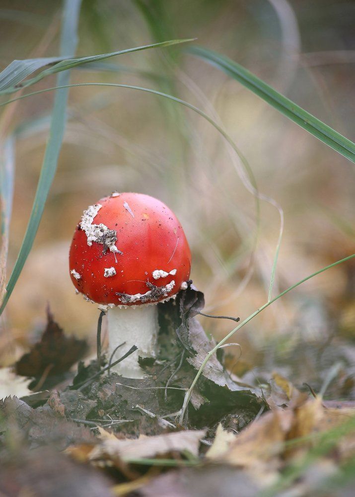 Photograph by Юлия