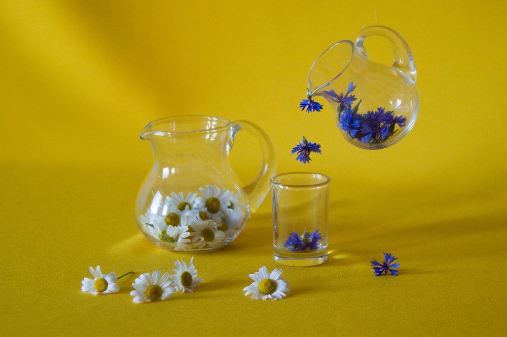 Фотография автора Гудкова Светлана