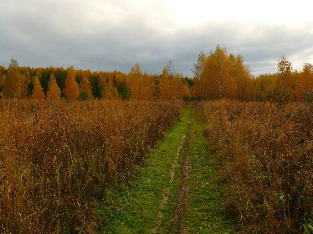 Осенняя тропа.