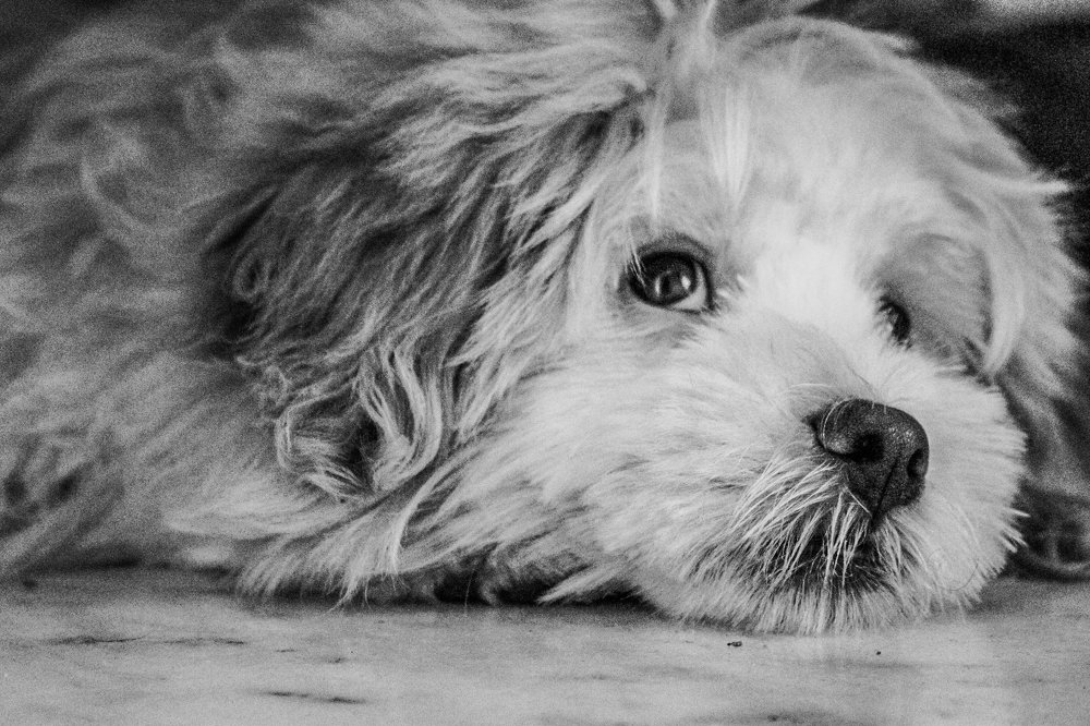 deep thoughts...