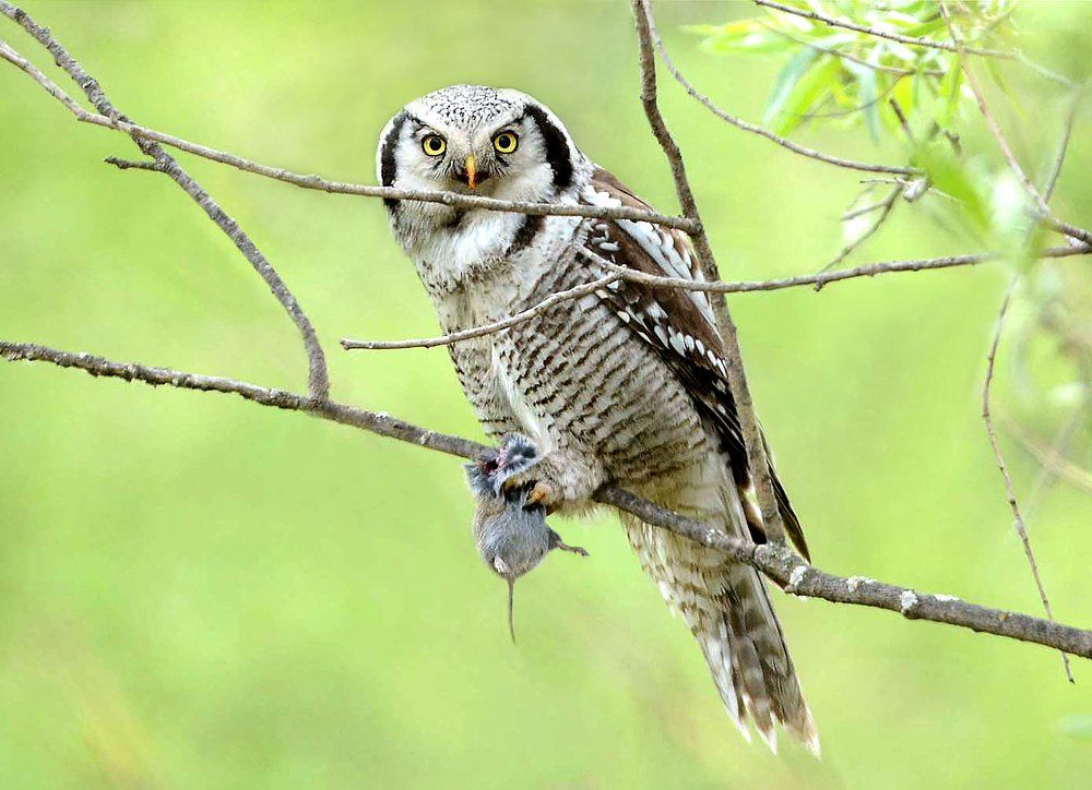 Делиться не намерена.