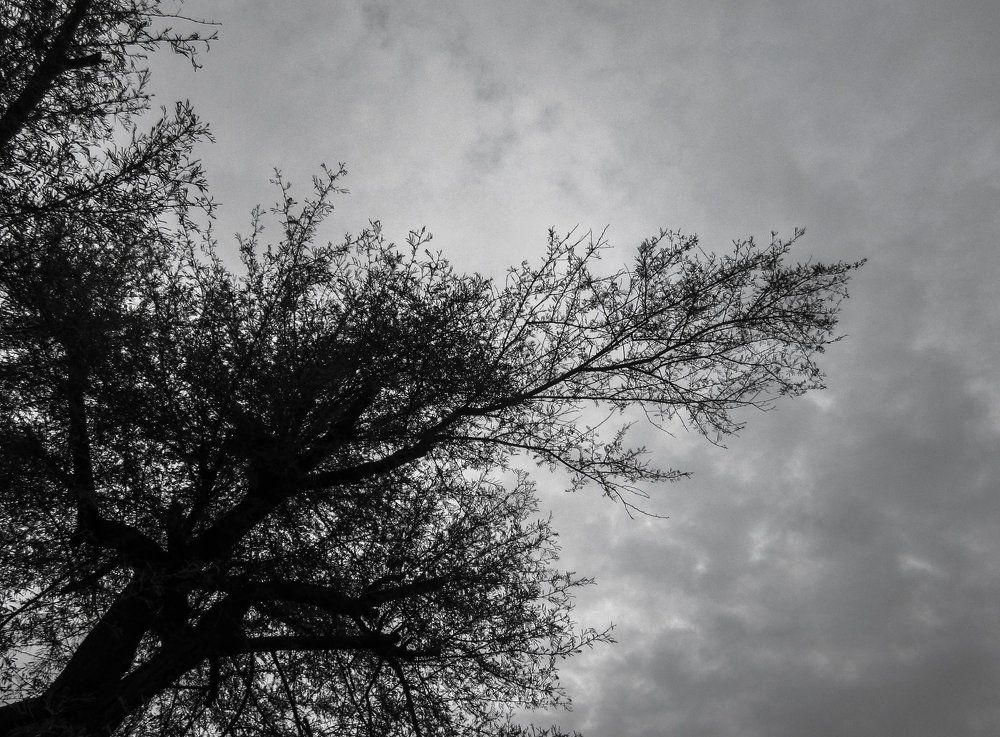 Photograph by sacheth mahipal