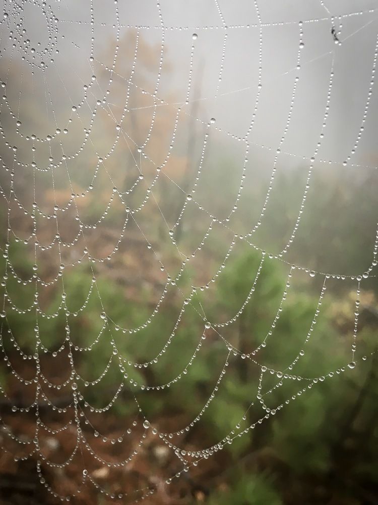 Photograph by Яэль (Юлия Ситохова)