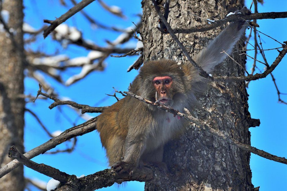 Вас заметили!