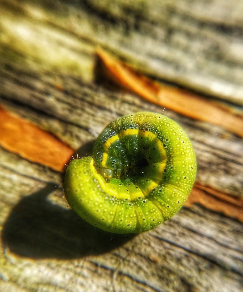 Photograph by Ekaterina Fadeeva